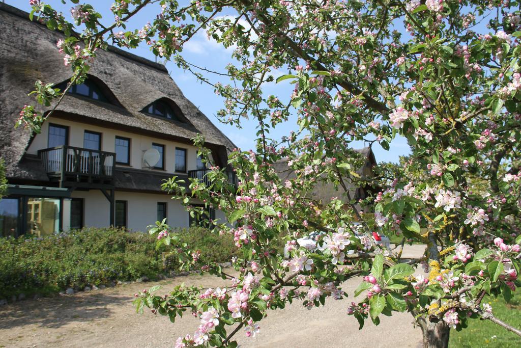 Kur-& Landhotel Borstel - Treff Dabel Exterior photo